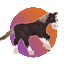 SWEM: Horse Animation Tweaks logo