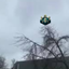 Screaming Chicken In Tree Sculk Shrieker logo