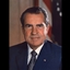 THE nixon logo