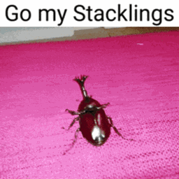Stacklings logo