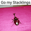 Stacklings logo