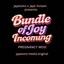 JayESims x Jaye Hinson Presents: Bundle of Joy Incoming Pregnancy Mod logo