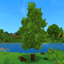Builder's Logs and Leaves logo