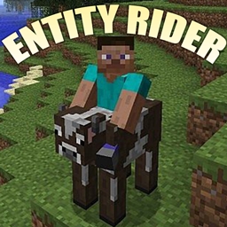 EntityRider