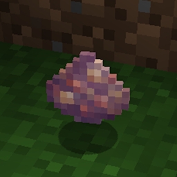 Create: Stone Enrichment logo