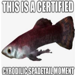 Never Ever Fish project image