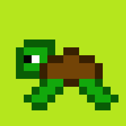 Turtle Totems project image