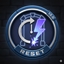 AutoDamageMeterReset logo