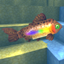 Truly Rainbow Trout logo
