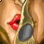 Silencer Whispers logo