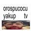 VERGI logo