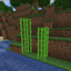 Bonemealable Sugarcane logo