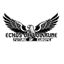 Echoes of Volkrune logo