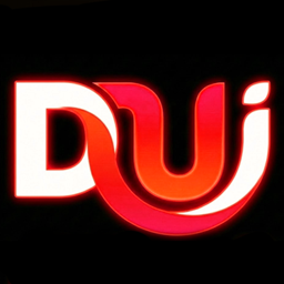 DDingUI Media & Profile project image