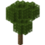 Old Growth Forest logo