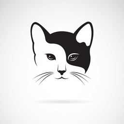 chan logo
