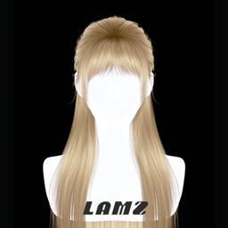 LAMZ_HalfupdoHairstyles_001F project image