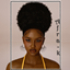 Afia_afro_pony logo