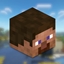 Become Steve logo