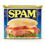 Spam logo