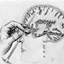 Lobotomy Archive logo