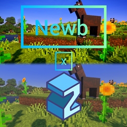 Newb x Zyra project image