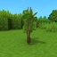 Skyblock Saplings logo