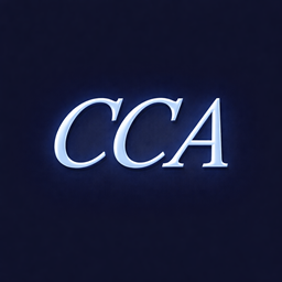 CCA - Custom Items for Servers logo