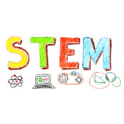 STEM project image