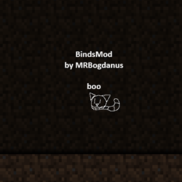 MRBogdanus Binds project image