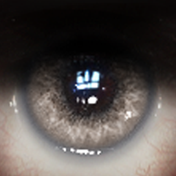 Quantum Eyes project image