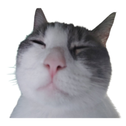 Pecky's Optimizated Forge - POF logo