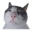 Pecky's Optimizated Forge - POF logo