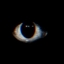 They came from Void logo