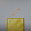 Tropical Fish Addon logo