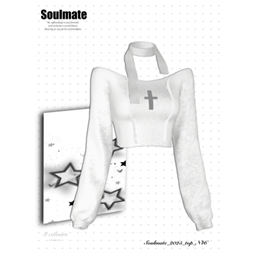 Soulmate_N46_Top logo