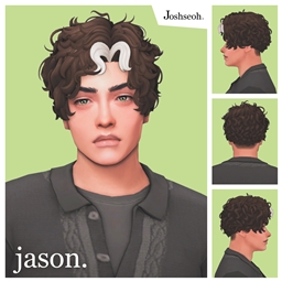 Jason Hair (Curly Version) & Streaks Overlay logo