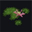 Better Lily Pads logo