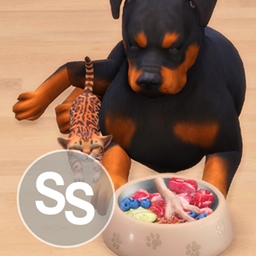 Natural food for pets logo