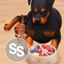 Natural food for pets logo