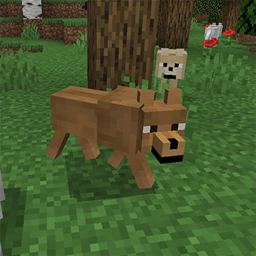 Fox and Wolf Variants project image