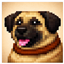 Kangal Craft logo