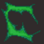 Catalyst RPG logo