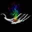 Magically Spellbound logo