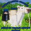 eridani's wistful comforts logo