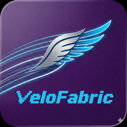 VeloFabric logo