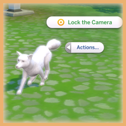 Available Lock The Camera directly from Sim logo