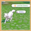 Available Lock The Camera directly from Sim logo