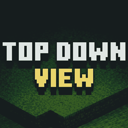 Top Down View logo