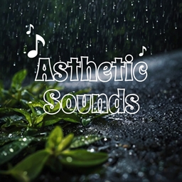 Aesthetic Sounds | A Sound Pack logo
